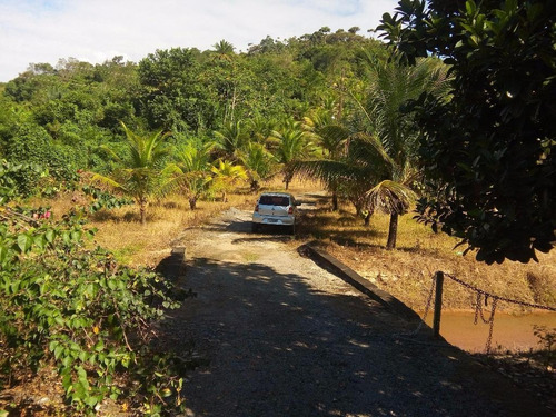 Imagem 2 de 27 de Chácara Em Centro, Cabo De Santo Agostinho/pe De 25073m² 3 Quartos À Venda Por R$ 750.000,00 - Ch149398-s