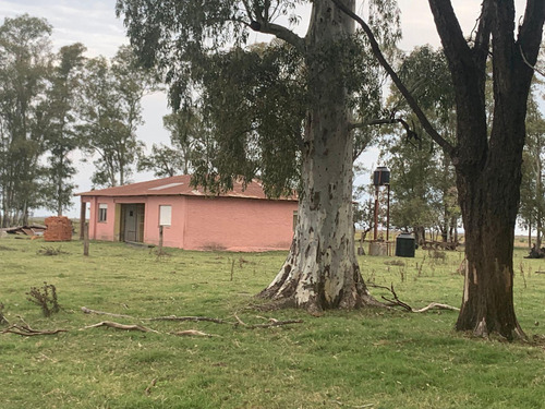 Terreno A La Venta En Roque Pérez