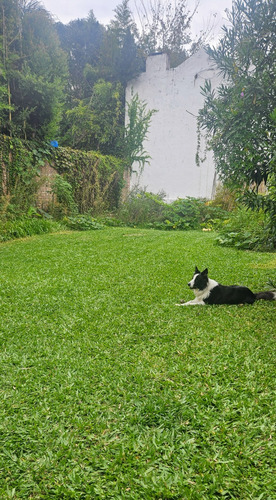 Casita - Guarderia Familiar Canina
