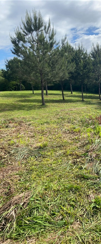 Imagen 6 de 23 de La Casa De Los Sueños En Venta!!