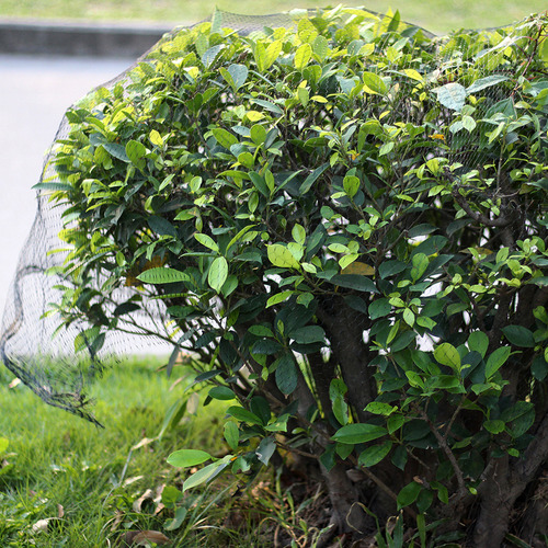 Red De Protección Antipájaros, Malla Para Plantas De Jardín