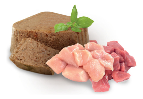 Pack 4 Latitas Nupec Kitten Para Gatitos Carne Y Pollo