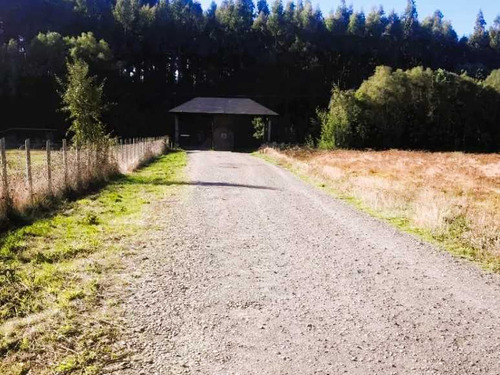 Condominio, 18kms De Villarrica Via A Pucón (85059)