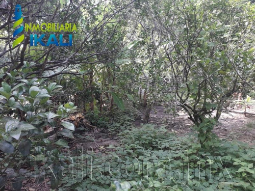 Imagen 6 de 9 de Terreno En Venta Unión Kilómetro 31