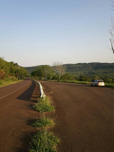 Imagen 6 de 7 de En Alberdi. Oberá.misiones
