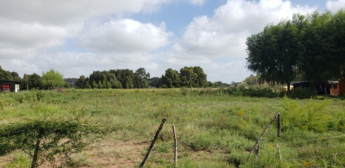Imagen 4 de 9 de Venta Lote Terreno Pavón General Lavalle Garita 3