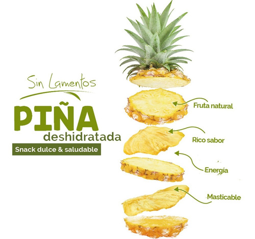 Imagen 3 de 5 de Piña Deshidratada (caja 12 Piezas)