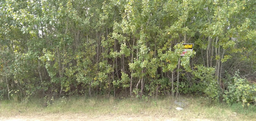 Imagen 2 de 8 de Terreno En Venta En Las Gaviotas
