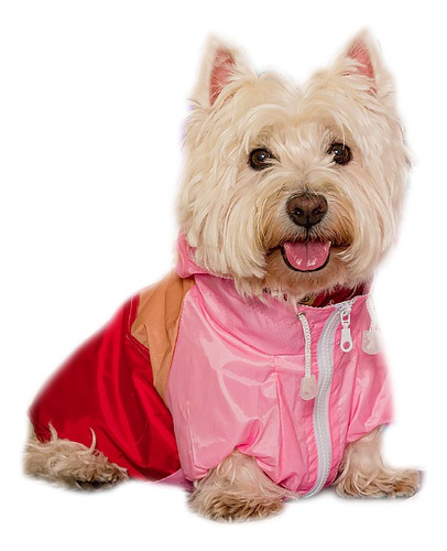 Piloto Impermeable Lluvia Canchero Perro Chico Talles 0a4 *