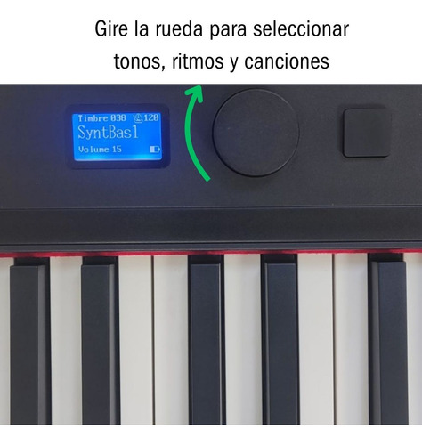 Piano Digital 88 Teclas Sensitivo Hammer Action Parquer Color Negro