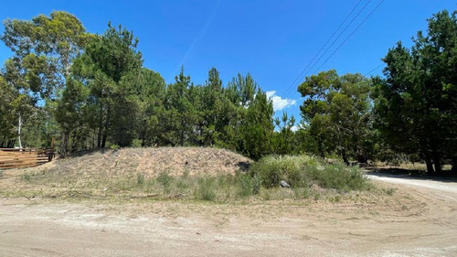 Venta Oportunidad Lote Terreno 995m2 San Bernardo Barrio Residencial