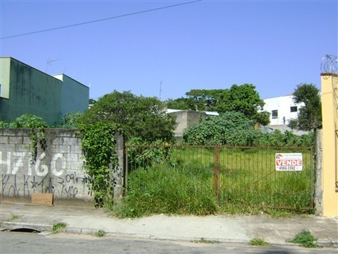 Imagem 1 de 8 de Terreno - Venda - Colônia - Cod. 34 - V34