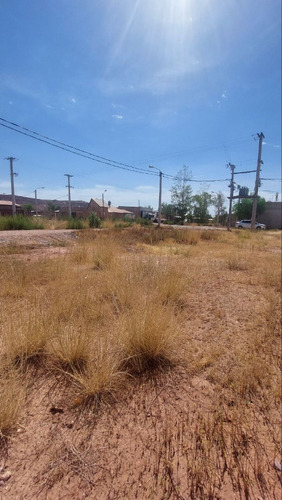 Venta Terreno / Lote Plottier