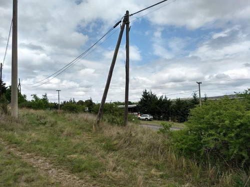 Imagen 10 de 23 de Terreno Sobre Ruta