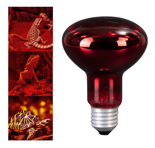 Pet Heat Lights Bombilla E27 Base Calentador Fuente