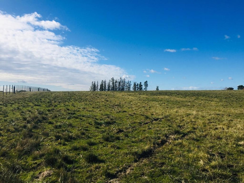 Vendo Campo Sobre Ruta 39 A 20 Minutos De Punta Del Este