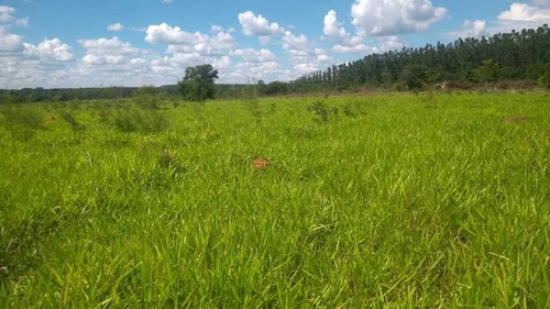 Imagem 18 de 30 de Fazenda De Gado E Graõ Com 455 Hectares Curvelo - 36426