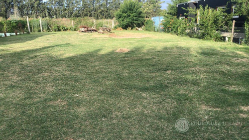 Imagen 4 de 4 de Terreno - Benavidez Lote En La Bota Listo Para Construir