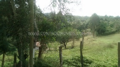 Imagem 10 de 17 de Rural - Ref: 01595