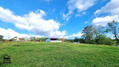 Imagen 5 de 9 de Terreno De 90.019 M2 Ubicado En Goicoechea, El Carmen De Guadalupe