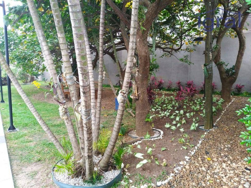 Imagem 18 de 30 de Apartamento Com 3 Dormitórios - Ap1367