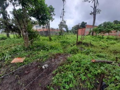 Imagem 4 de 6 de Terreno Escriturado Em Itanhaém - 9618 R