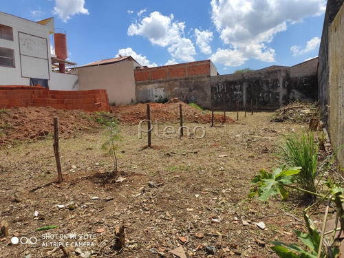 Imagem 4 de 8 de Terreno À Venda Em Jardim Paulicéia - Te028091