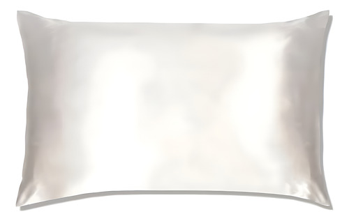 Funda De Almohada De Seda Mulberry Standard 51 X 66
