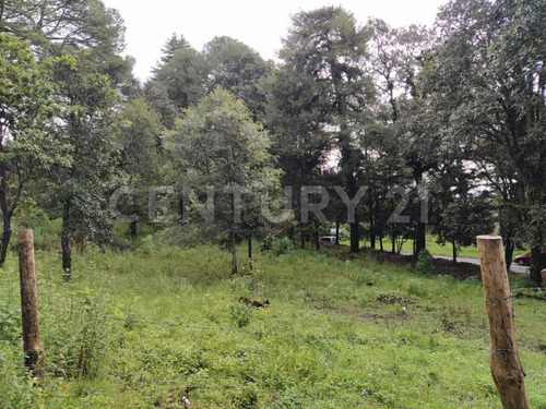 Imagen 9 de 10 de Terreno En Venta Escriturado En Huitzilac Morelos
