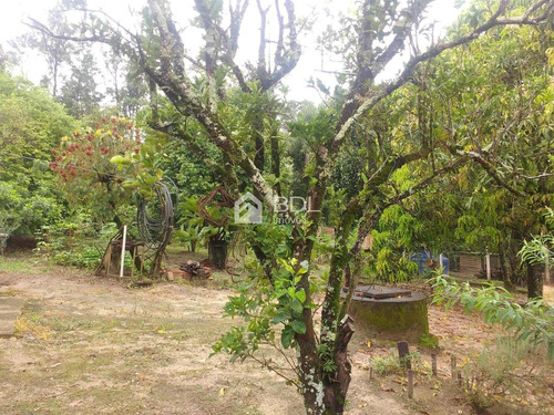 Imagem 22 de 27 de Chácara À Venda Em Bairro Dos Pires - Ch003273