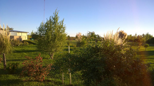 Sensacional Chacra En Viedma, Sobre 10.000m2 De Terreno.