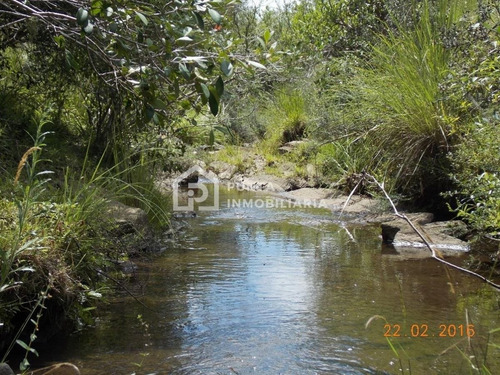 Imagen 12 de 30 de Venta Chacra 96has En Minas, Lavalleja