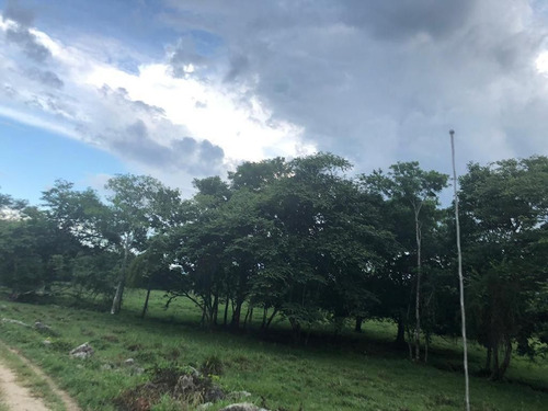 Terreno De 190 Hectáreas Cerca De Palenque