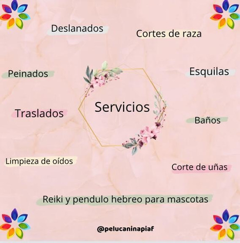 Imagen 12 de 12 de Peluquería Canina - Traslados Para Mascotas - Reiki Y Gemo.
