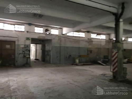 Imagen 3 de 14 de Depósito - Villa Martelli