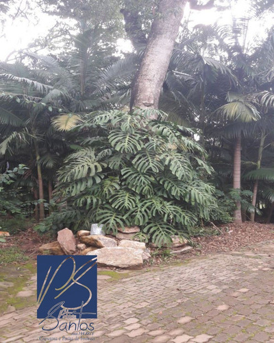 Imagem 8 de 30 de Sitio Para Venda Joanópolis Sítio Com Total Privacidade Com Linda Vista Com 38.000m² Apenas À 10 Minutos Do Centro De Joanópolis - Casa Sede; - Casa De Hospedes; - Piscina; - Bosqu - St00012 - 320070