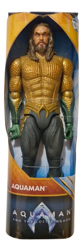 Aquaman Dc Spin Master