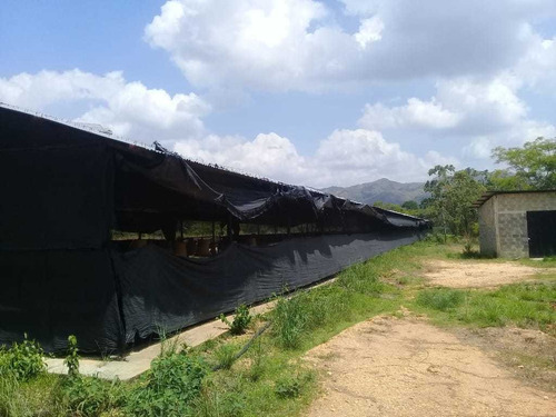 Imagen 12 de 25 de En Venta Finca Matadero De Pollo