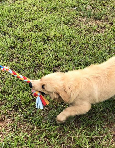 Juguete Para Perros Con Cuerda De Lana Como Sustituto De ...
