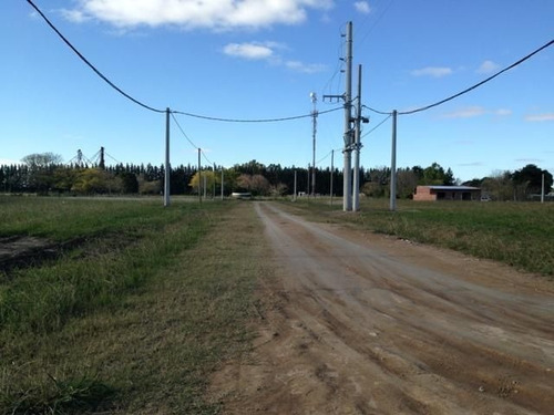 Lote | Antartida Argentina, A.