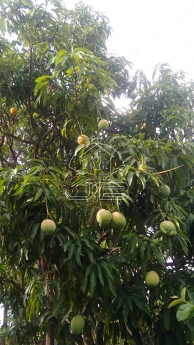 Imagem 1 de 6 de Chácara À Venda Em Loteamento Chácaras Gargantilhas - Ch008047