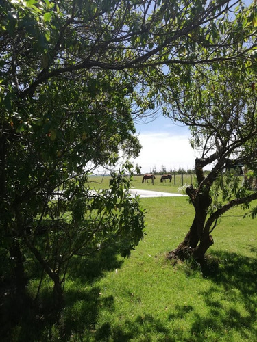 Rocha Venta De Campo En La Paloma Campo 77 Has A 18 Km De La Playa.