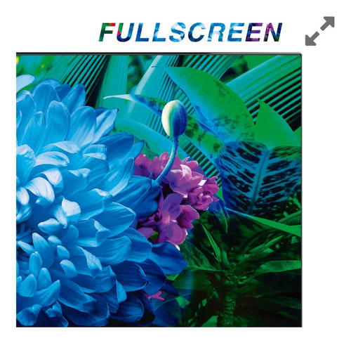 Imagen 5 de 12 de Smart Tv 40 Tcl 40s65a Android Fhd