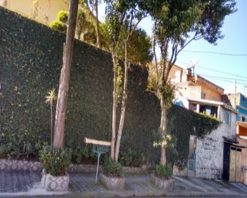 Terreno - Ter002 - 32970671
