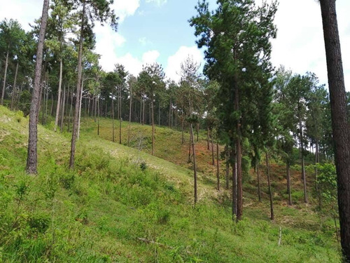 Imagen 11 de 14 de Finca En Venta En Bejuma