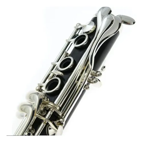 Clarinete Buffet Crampon R13 Bb Abs 17 Teclas B Plana Clarín