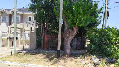 Imagen 17 de 20 de Venta Casa Con Local A Refaccionar En Berazategui.