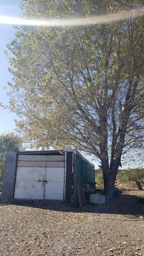 Imagen 20 de 20 de Venta De Campo 2000 Hectáreas