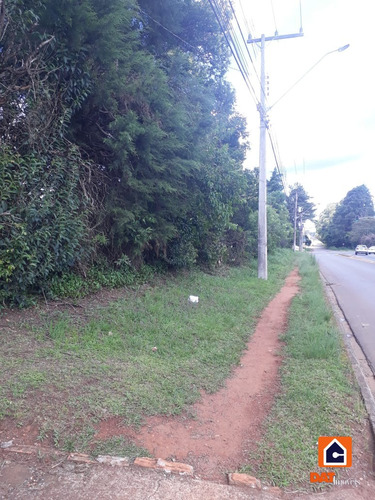 Imagem 4 de 7 de Terreno À Venda Em Uvaranas - 1510