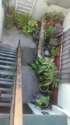 Imagen 13 de 14 de Ph 3 Ambientes C/2 Patios